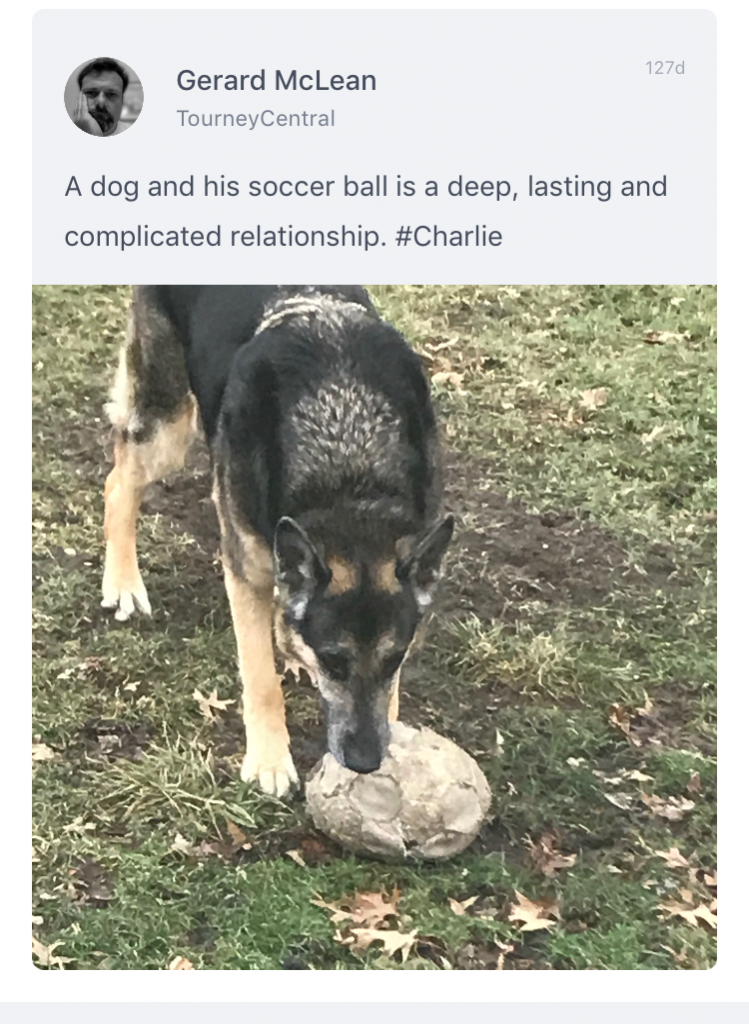 A dog and his soccer ball is a complicated relationship...photo from a tournament app